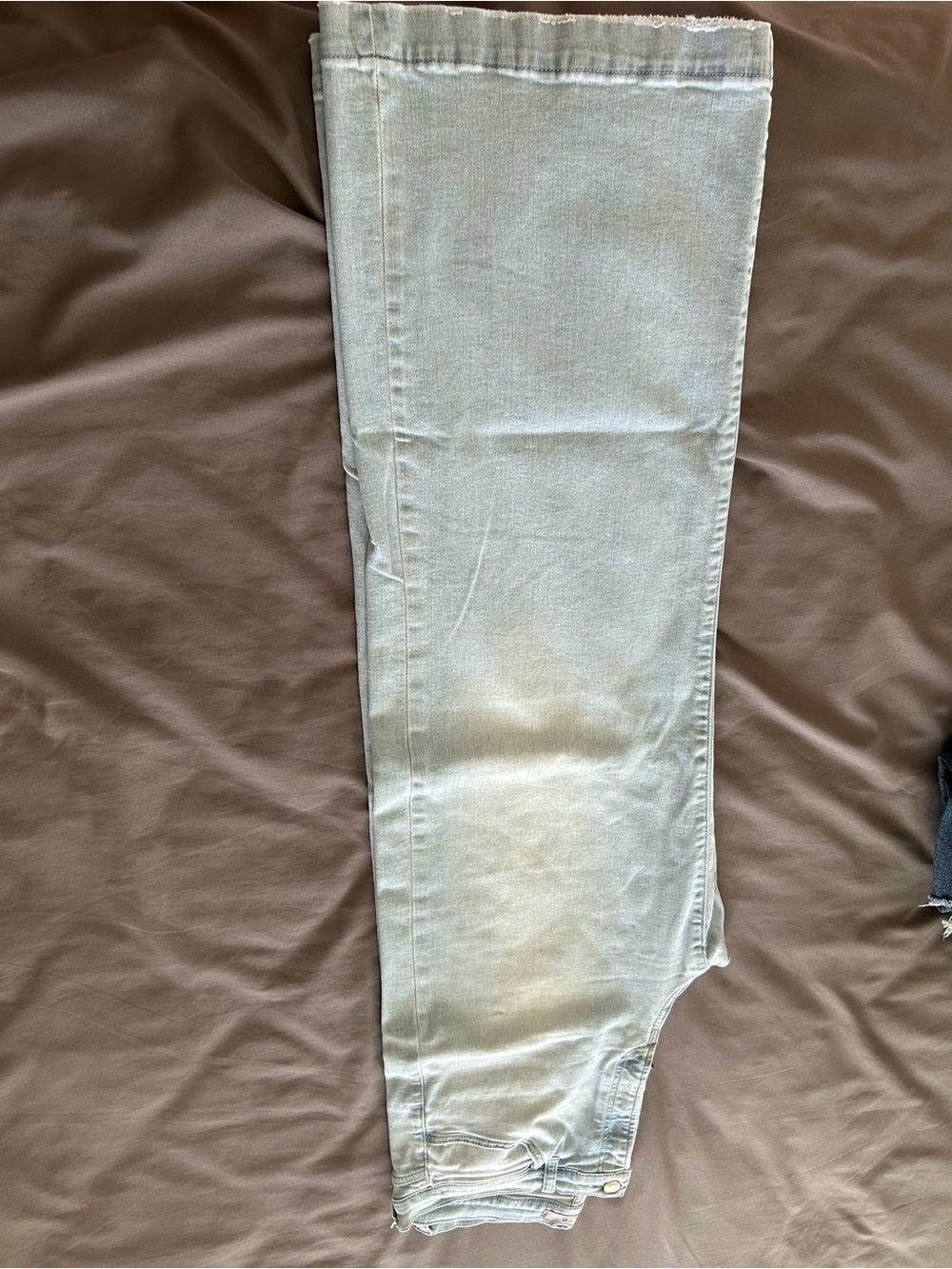 Joe's Jeans Women's Wide Leg Jeans in Light wash